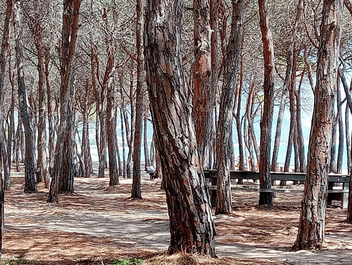 Locanda D'Ogliastra, Triei Ngoại thất bức ảnh