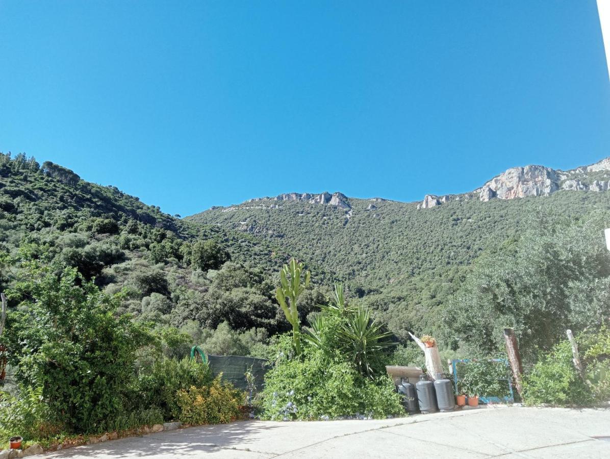 Locanda D'Ogliastra, Triei Ngoại thất bức ảnh