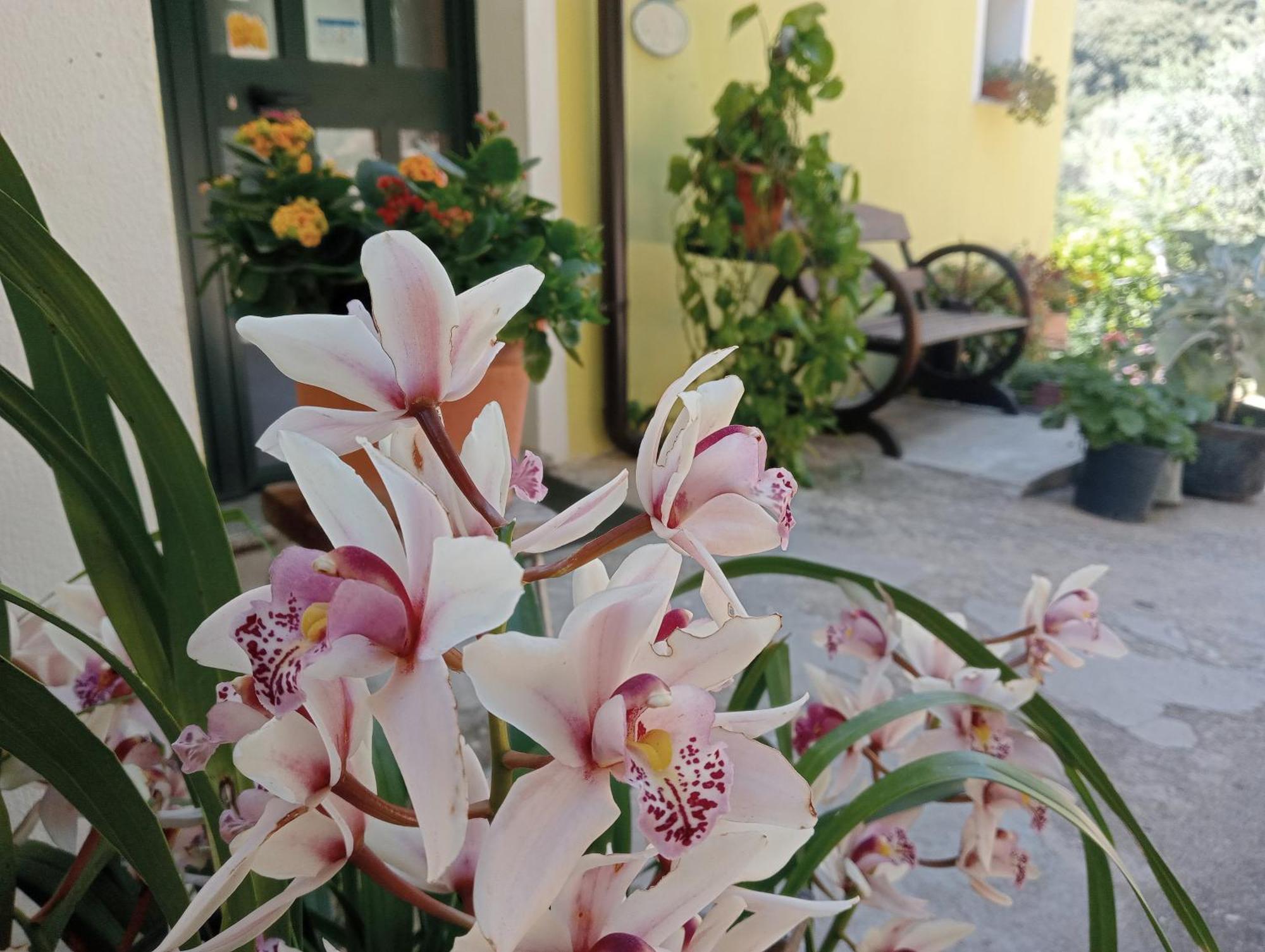 Locanda D'Ogliastra, Triei Ngoại thất bức ảnh